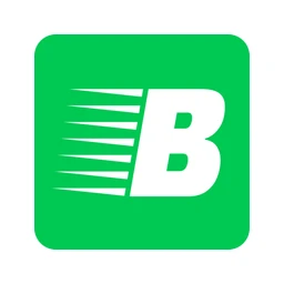 Логотип Baylyq